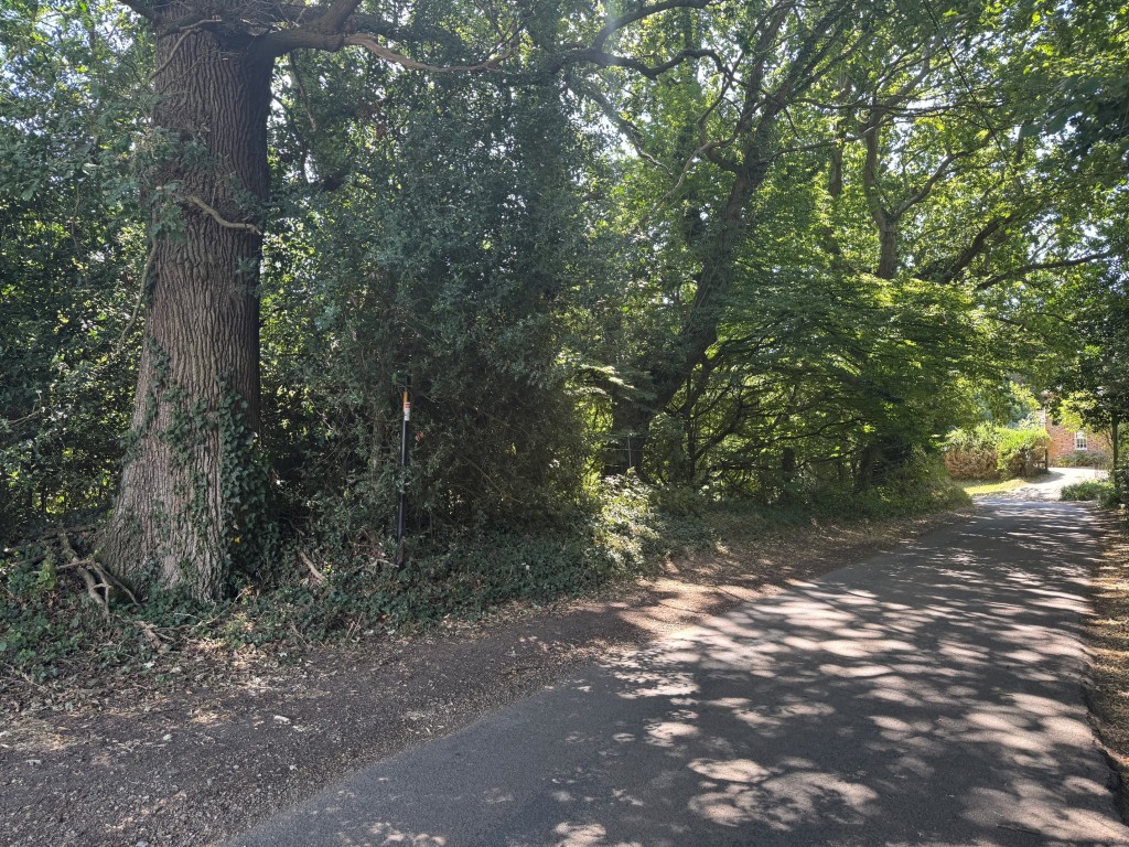Lot: 32 - HALF ACRE SITE - General view of the land from the road